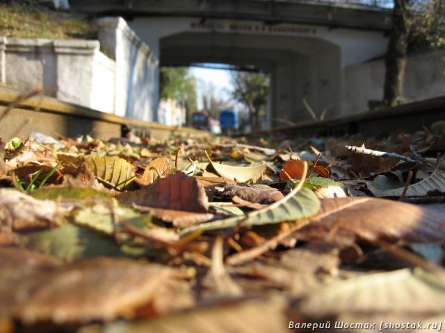 Детская железная дорога