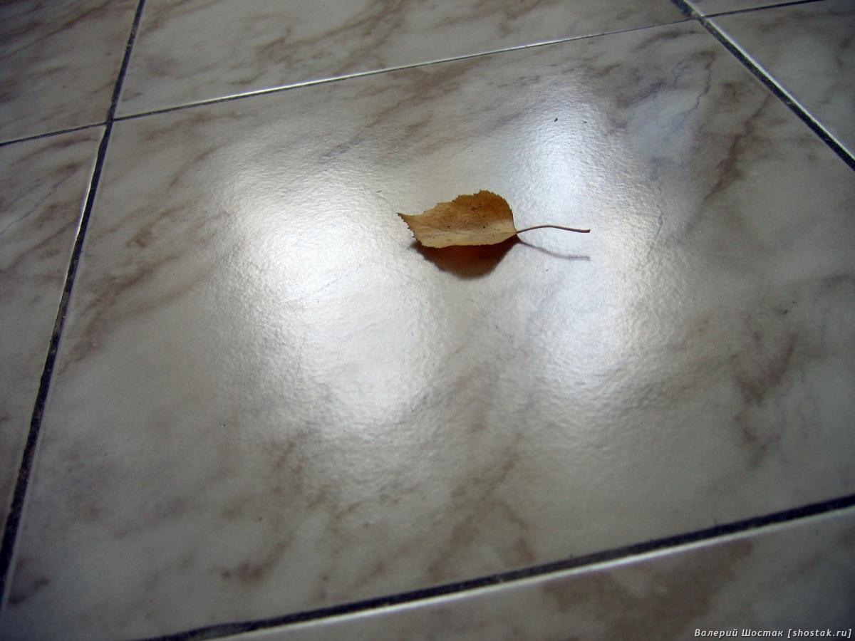 Лист на кафеле