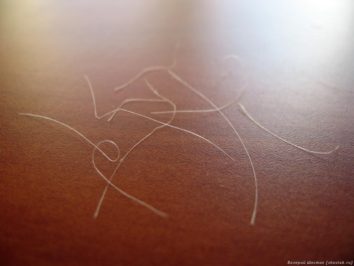 Первая седина