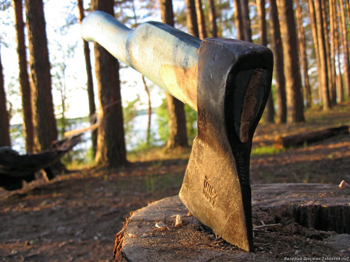 Топор в пеньке