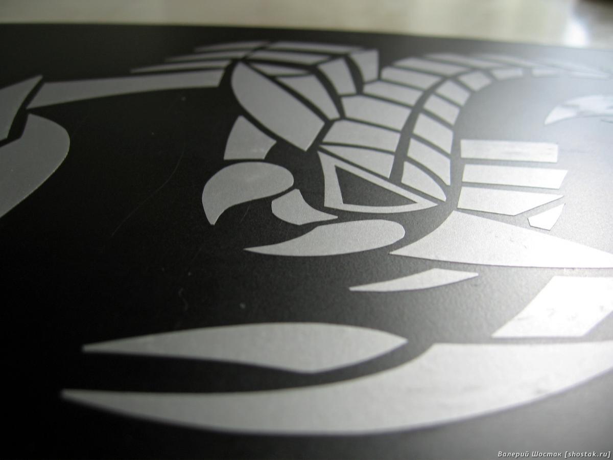 Трафарет скорпиона